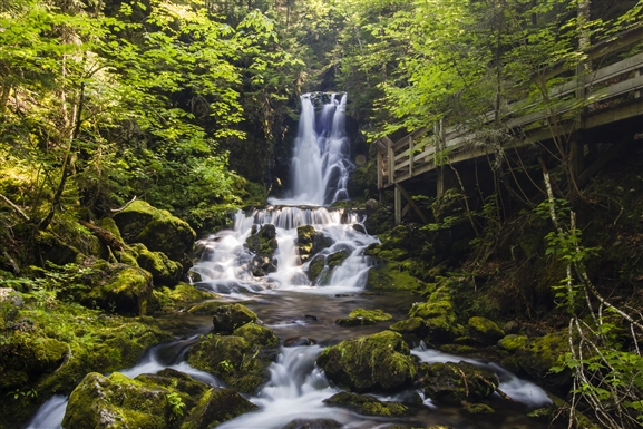 Waterfall cascading over mossy rocks beside a wooden boardwalk in a lush green Acadian forest
