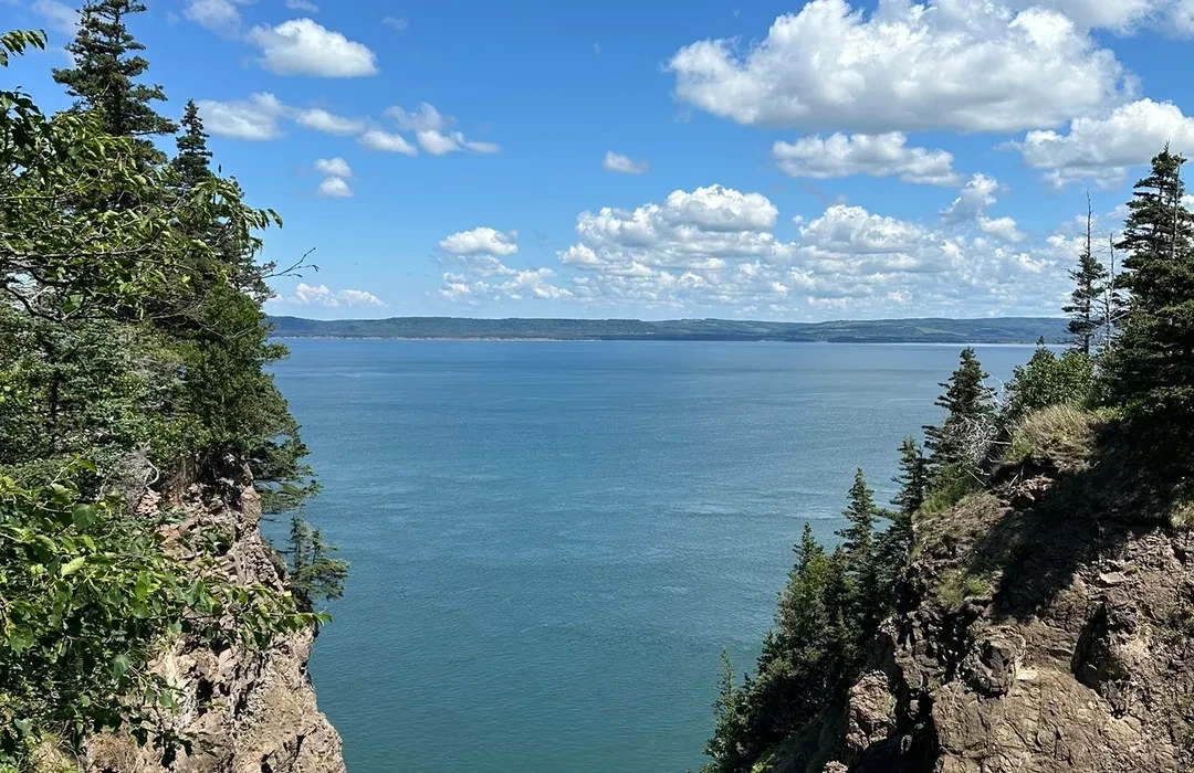 View of the Minas Basin framed by evergreens along the Cape Split trail