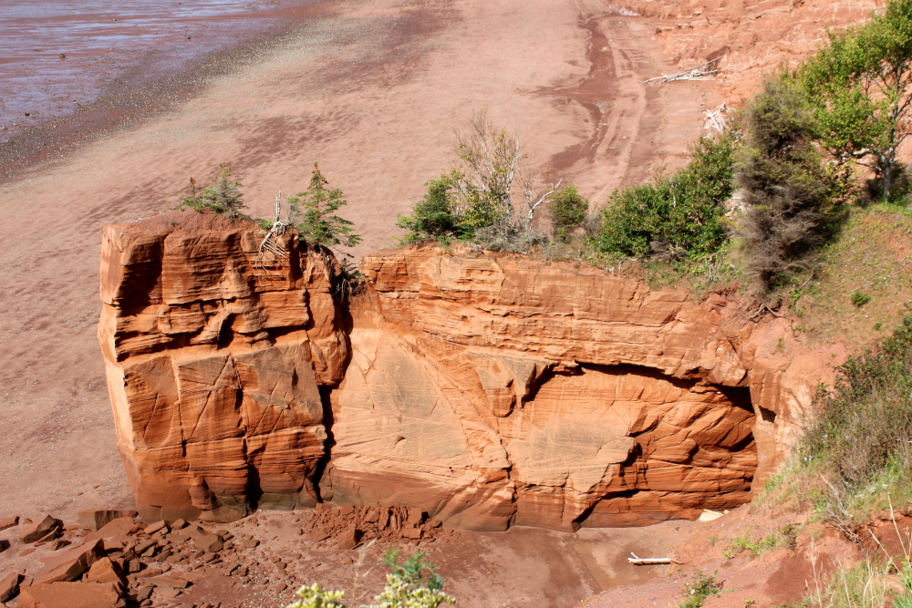 Red sandstone sea-stack on the wide red mudflats of Five Islands at low tide