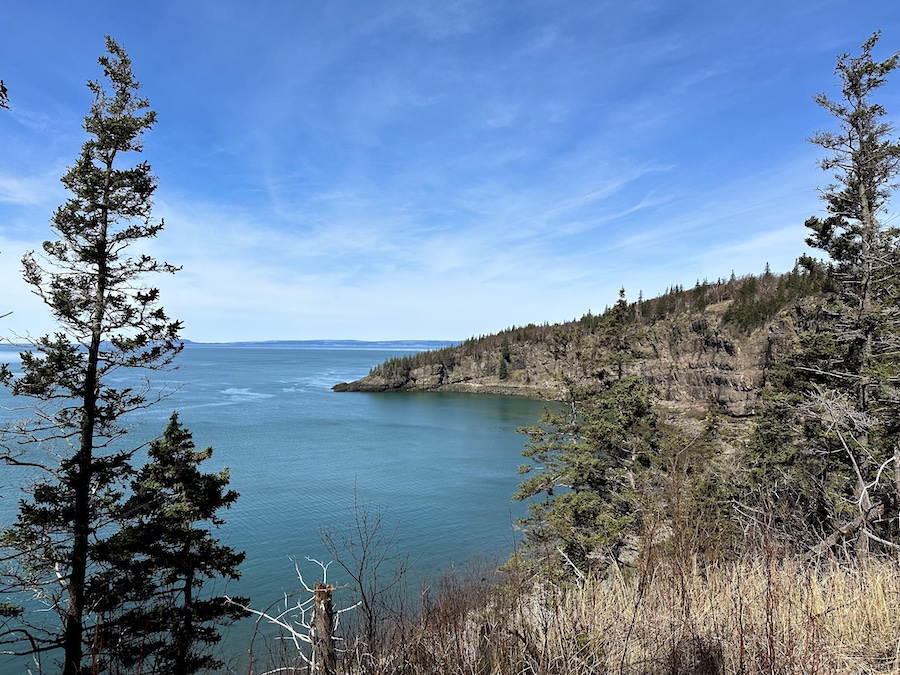 Cliffs and evergreens along the Cape Split shoreline in early season