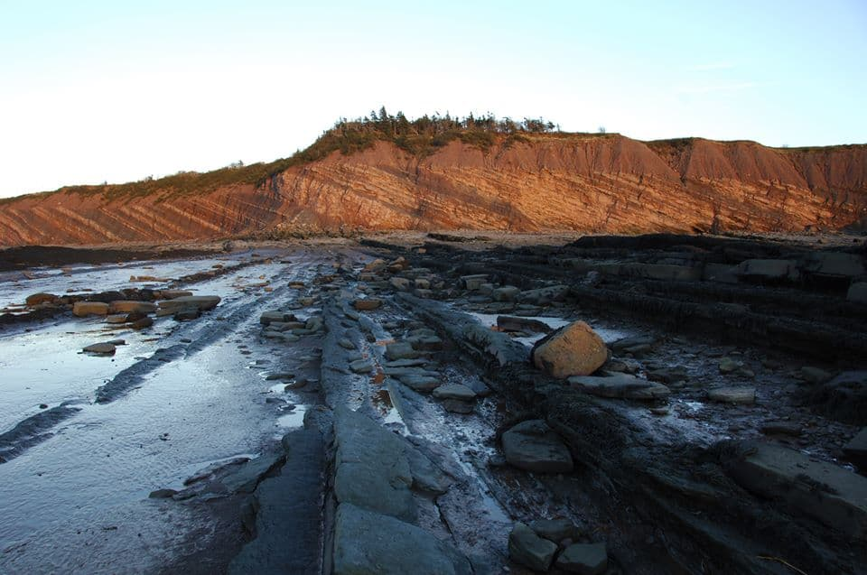 Layered sedimentary cliff face of Joggins Fossil Cliffs at low tide