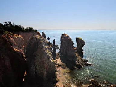Sea stacks rising from the water at the base of tall cliffs on the Cape Chignecto coast