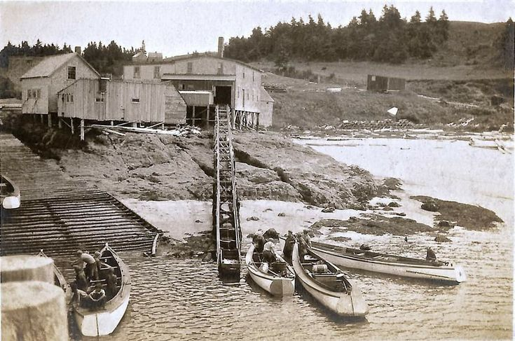 Sepia-toned historic photograph of a wooden fishing wharf and cannery on the Bay of Fundy, with dories tied up at low tide and forested hills behind
