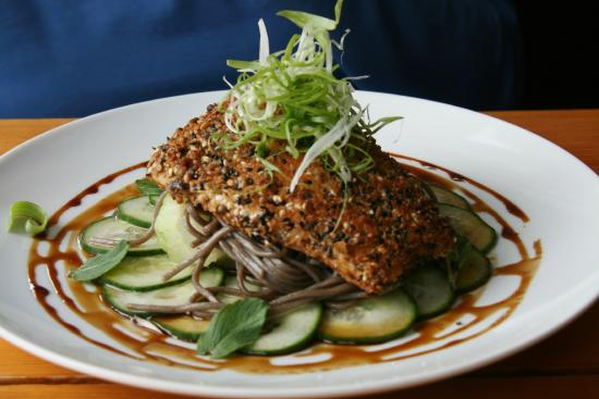 Sesame-crusted seared fish over soba noodles and cucumber with soy glaze on a white plate