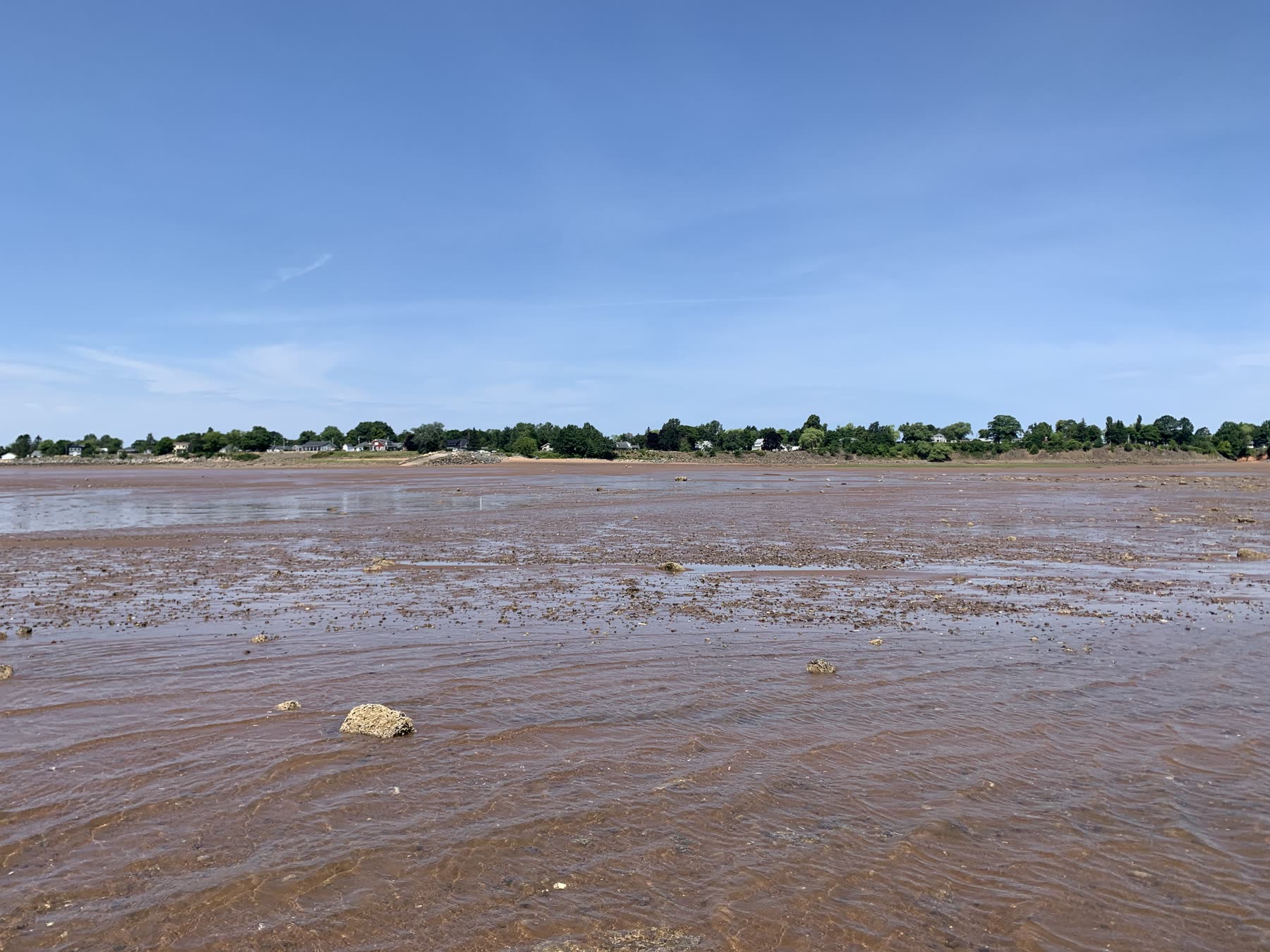 Rippled red mudflats stretching toward the village of Kingsport at low tide