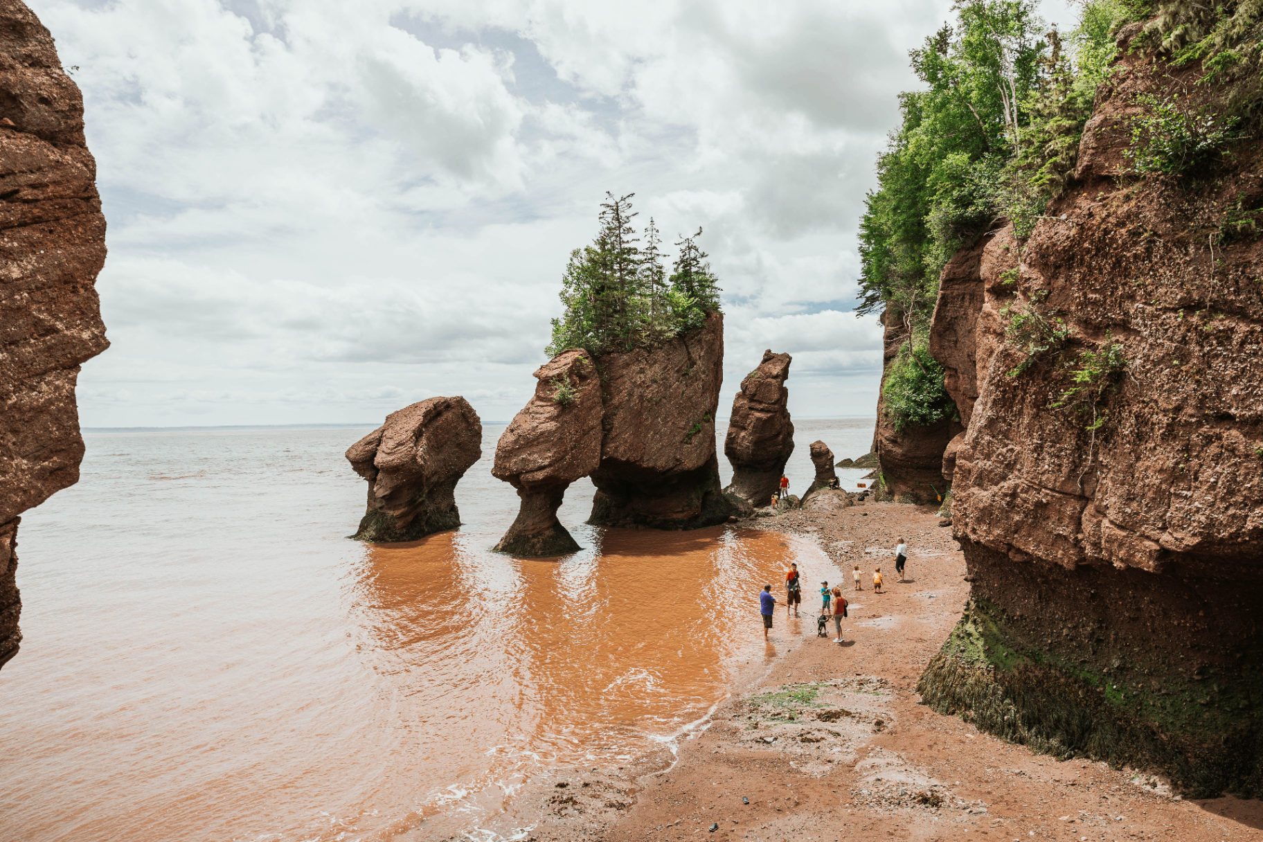 Hopewell Rocks flowerpot formations at low tide with visitors walking on the ocean floor, Bay of Fundy